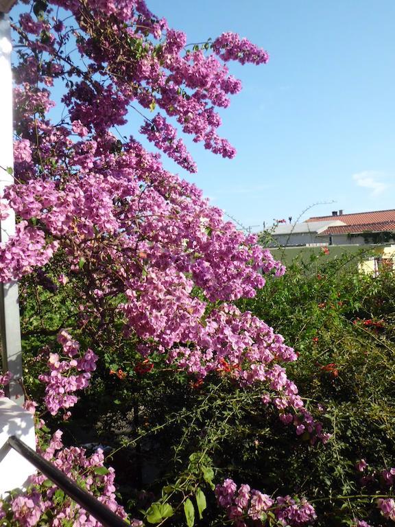 Apartments Viskovic Makarska Kültér fotó